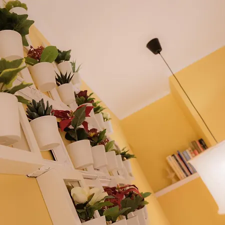 Y Quebedo - Boutique Setúbal