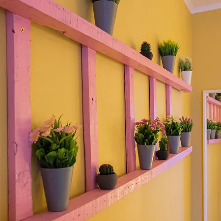 Y Quebedo - Boutique Setúbal